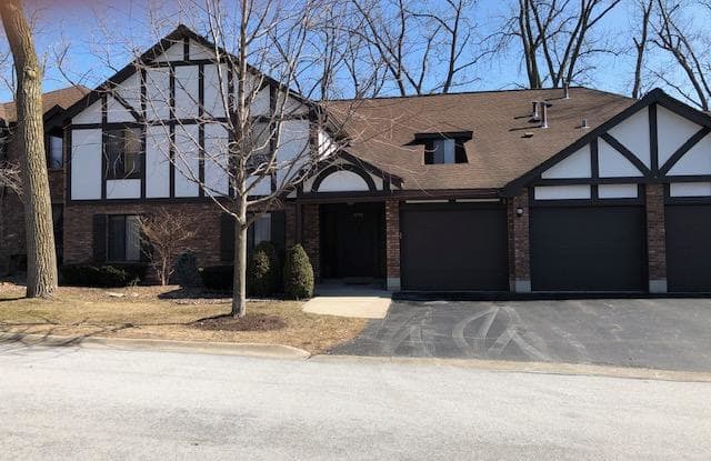 11111 COTTONWOOD Drive - 11111 Cottonwood Drive, Palos Hills, IL 60465