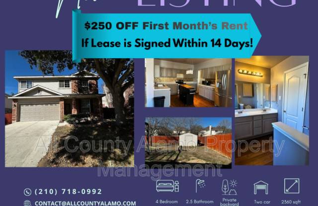 312 Silver Wing photos photos