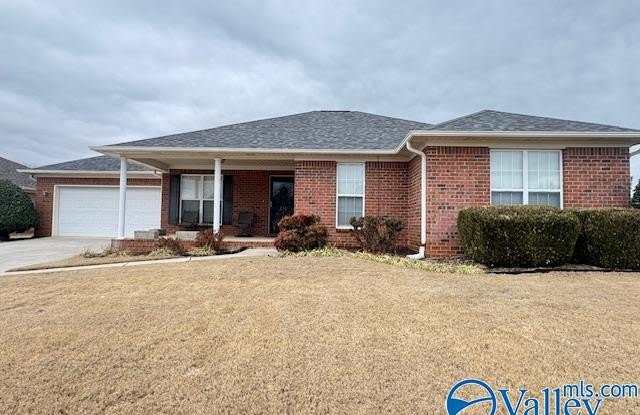 236 Misty Cove Court - 236 Misty Cove Court, Madison County, AL 35761