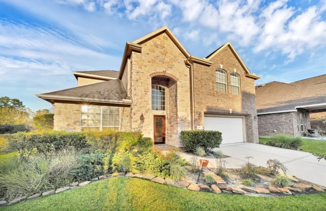 195 N Pinto Point Circle - 195 North Pinto Point Circle, The Woodlands, TX 77389