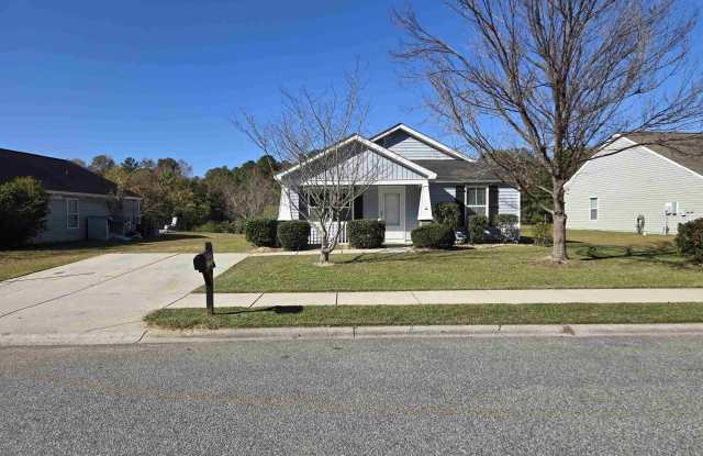 1245 Pineridge St. - 1245 Pine Ridge Street, Conway, SC 29527