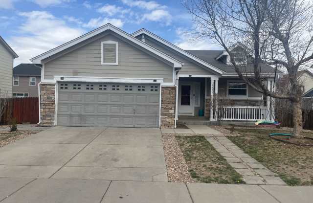 3 Bedroom 2 full bathrooms in Brighton photos photos