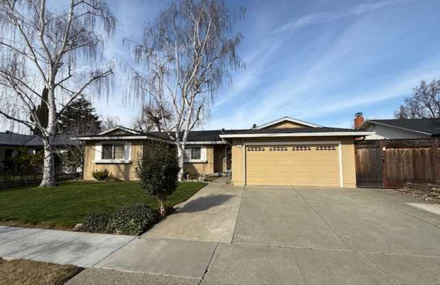 Pleasanton Valley 4 bed, 2 bath with a Unique Touch: Koi Pond photos photos
