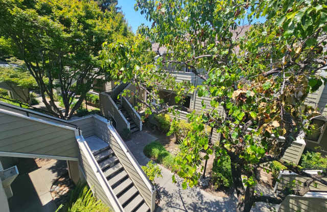 Great Location.... Gorgeous 2 Bedroom 2 Bath End Unit Condo in North San Jose photos photos