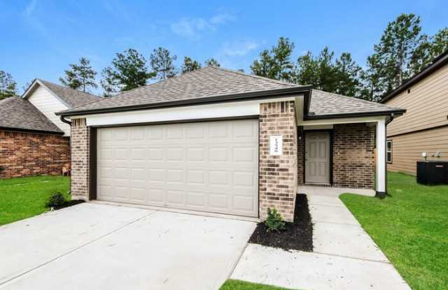 13548 White Ibis Street - 13548 White Ibis Street, Montgomery County, TX 77372