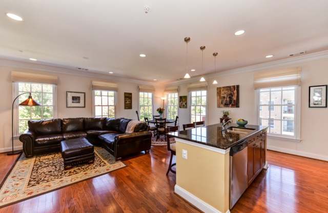 Recently Renovated Sunny and Bright 2br/2ba in Old Town Alexandria photos photos