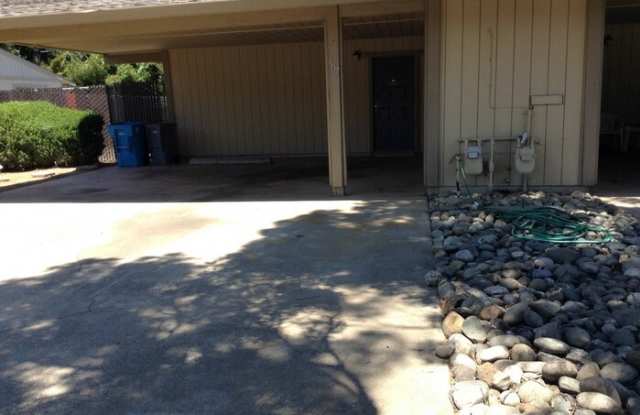 507 Downie Street photos photos