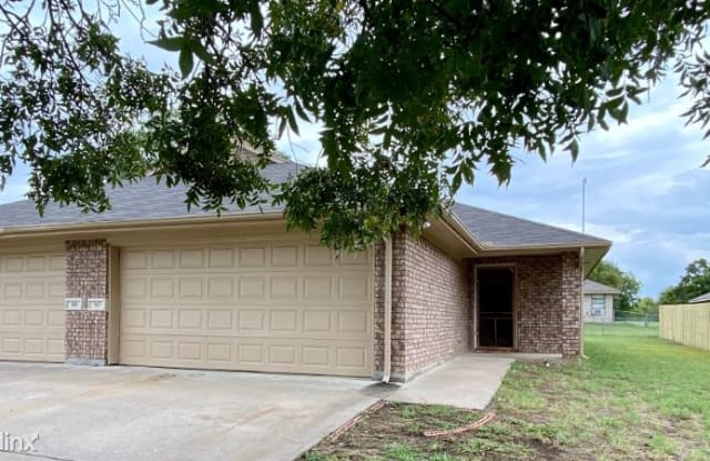 107 Honey Bee Dr - 107 Honey Bee Drive, Joshua, TX 76058