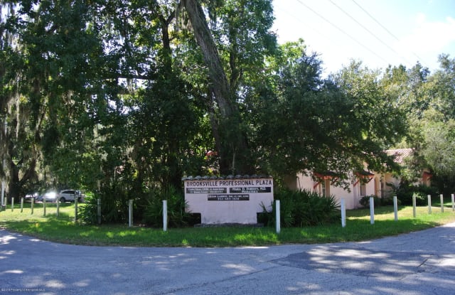 719 Benton Avenue - 719 Benton Avenue, Brooksville, FL 34601