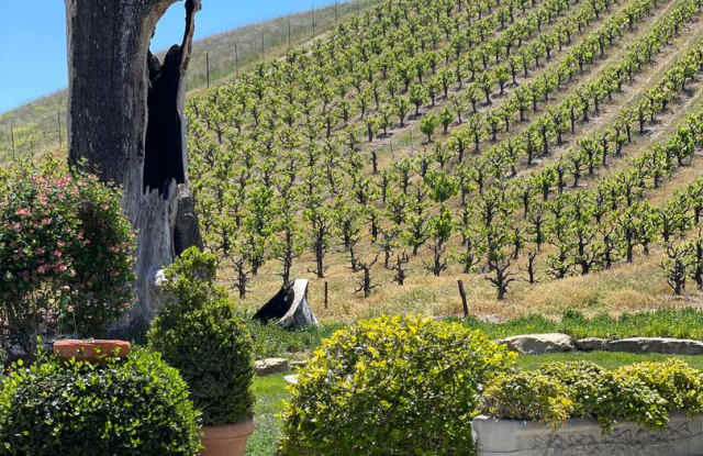 Gorgeous Wine Country 3 Bedroom 2 Bath Single Family Home Available 10/01/2025 photos photos