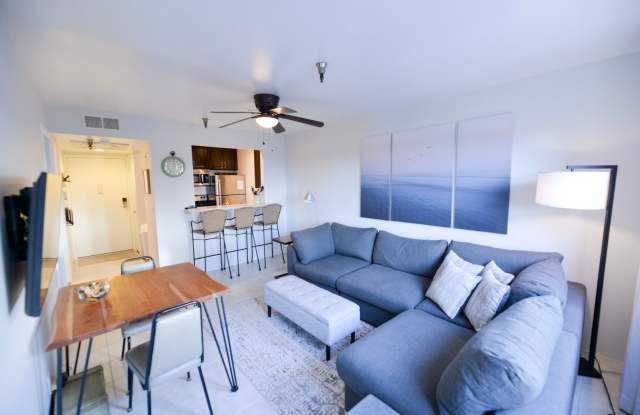 Fully Furnished 1 bedroom Oceanview unit!! Call Steve Conrad- 949-542-8347 Gallery 4
