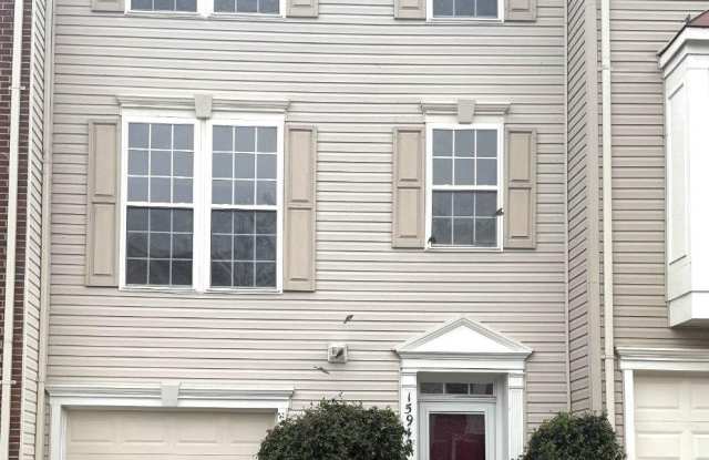15942 CANADA GOOSE Loop Gallery 1