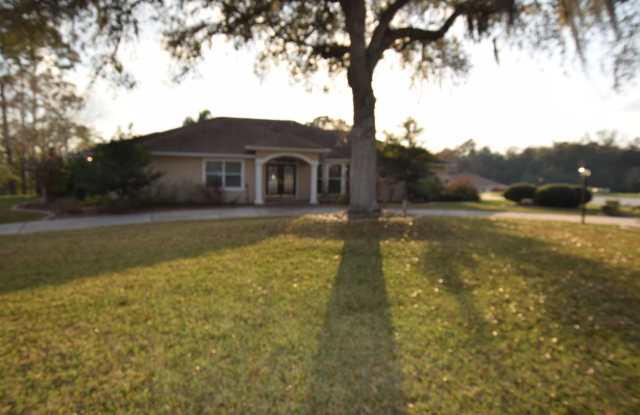 3 Bedroom, 3 Bath Single Family Home For Rent at 39125 Tacoma Dr.; Lady Lake, FL 32159 photos photos