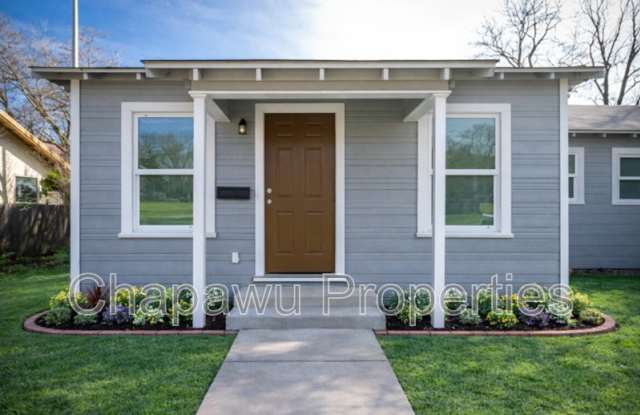 936 poinsettia photos photos