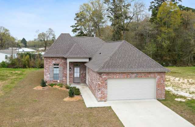 10353 Fountain Lane - 10353 Fountain Lane, Livingston County, LA 70726