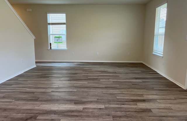 460 Papaya Drive Gallery 4