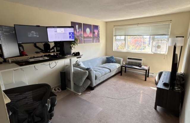 74 Craigie St. photos photos