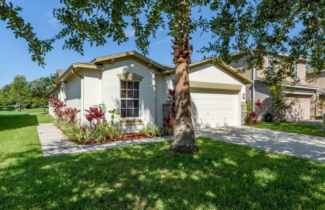 3441 Cardinal Feather Drive - 3441 Cardinal Feather Drive, Pasco County, FL 34638