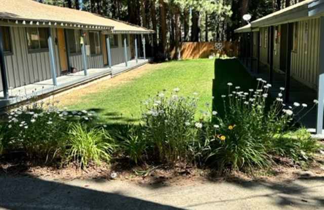 1BR Apartment available for a long term, near Barton and shopping centers!! photos photos 1BR Apartment available for a long term, near Barton and shopping centers!! photos photos