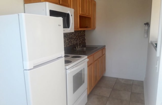 395 1/2 E. Cliveden Street #4 - 395 1/2 E Cliveden St, Philadelphia, PA 19119