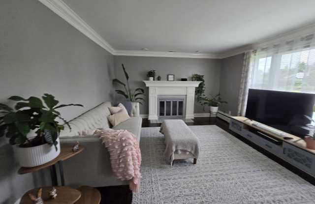 4 Ascolese Road Gallery 4