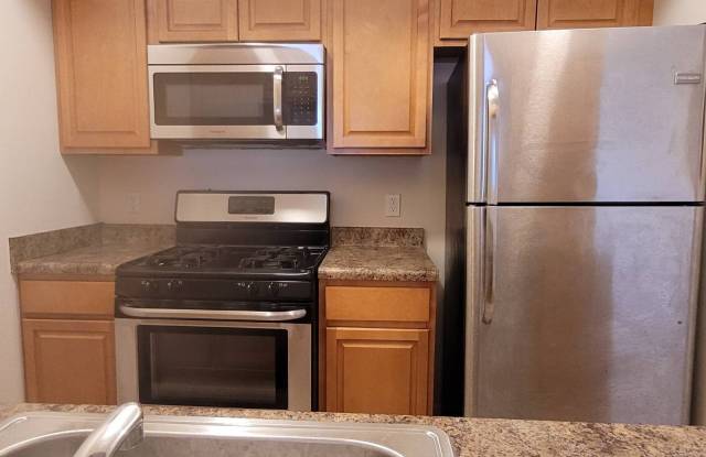 260 Ruth Court - 260 Ruth Court, Middletown, NY 10940