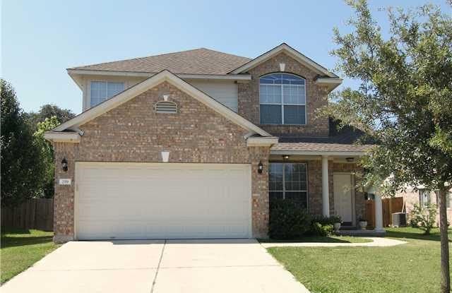 259 Clarence CT - 259 Clarence Ct, Buda, TX 78610