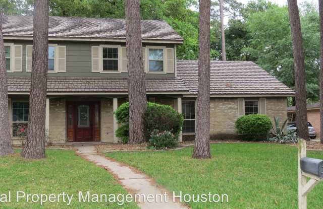 18726 Candleview Drive - 18726 Candleview Drive, Harris County, TX 77388