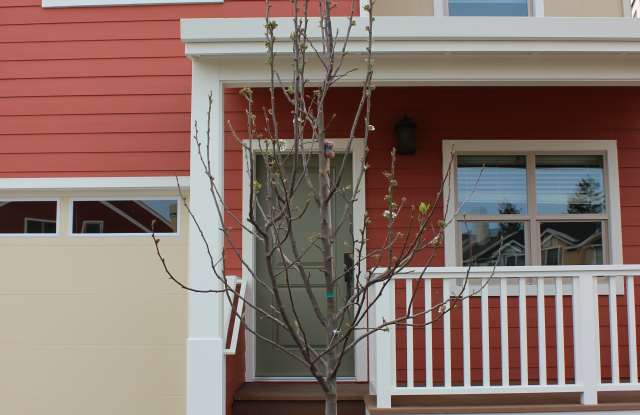446 Lindberg Circle photos photos