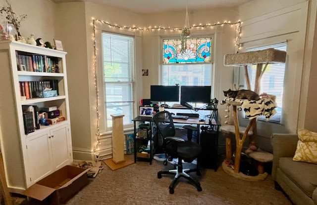 217/219 N. Pickney Street217-1 - 217 North Pinckney Street, Madison, WI 53703