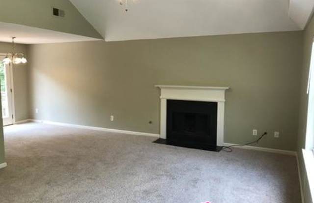 5372 Salem Springs Dr Gallery 4