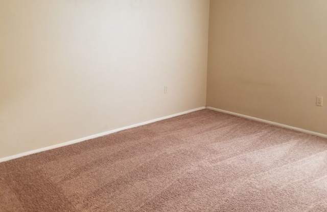CONDO NEAR USF! Gallery 4