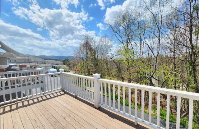 Weaverville Rental! - 34 Union Chapel Road, Weaverville, NC 28787