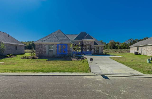 3 Bed / 2 Bath New Construction Home in Stapleton Gallery 1
