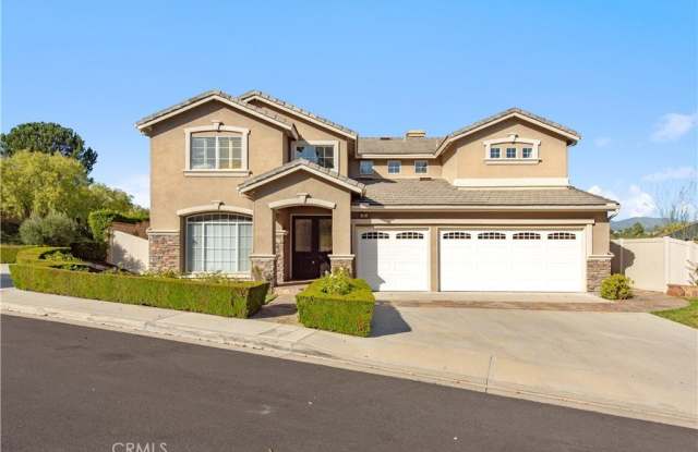 9 Swallows photos photos