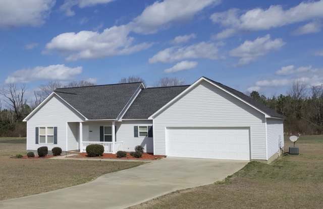 984 Scotland Rd - 984 Scotland Road, Laurens County, GA 31075