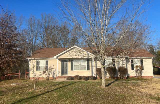 3 Bedroom 2 Bath - Fenced-in Backyard in Christiana! Available Now! - 234 Loch Lomand Drive, Rutherford County, TN 37037
