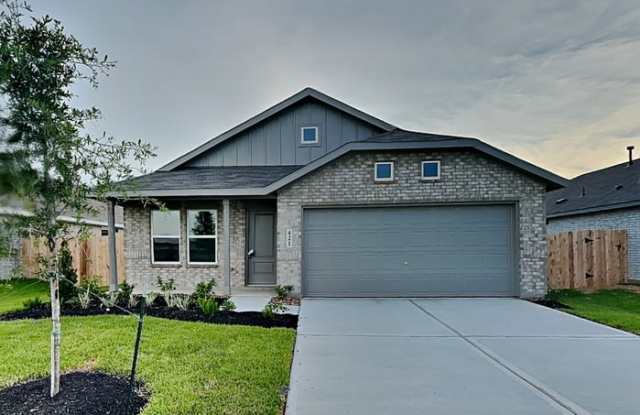 421 Texas Pecan Drive - 421 Texas Pecan Drive, Waller County, TX 77493