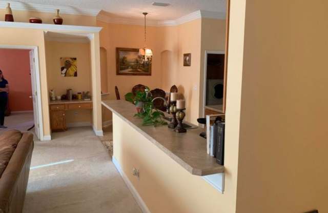 10230 EMMA LAKES DR. Gallery 2