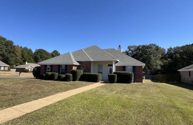 1150 Spanish Oak Drive - 1150 Spanish Oak Drive, Rankin County, MS 39208