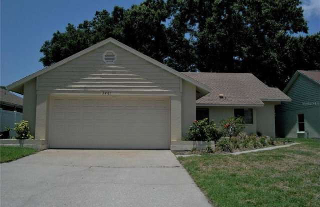 3261 PINE FOREST DRIVE - 3261 Pine Forest Drive, Palm Harbor, FL 34684