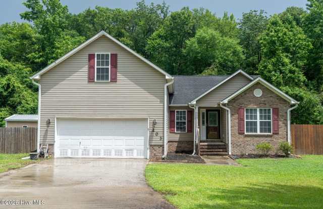 203 Saw Briar Court photos photos