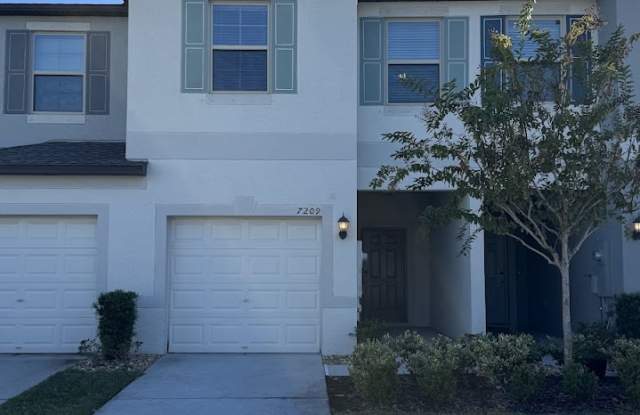 7209 Sweet Alyssum Court - 7209 Sweet Alyssum Court, Palm River-Clair Mel, FL 33619