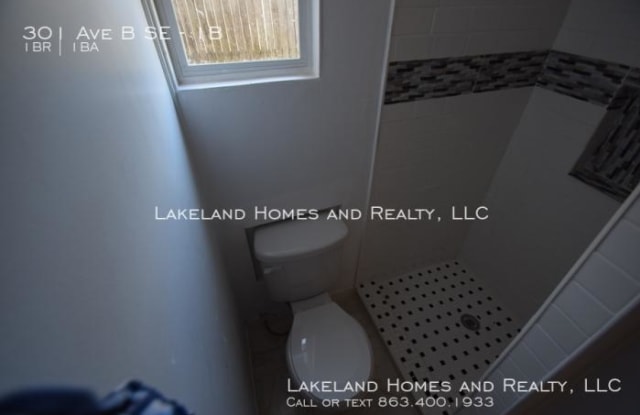 301 Ave B SE - 301 Avenue B Southeast, Winter Haven, FL 33880