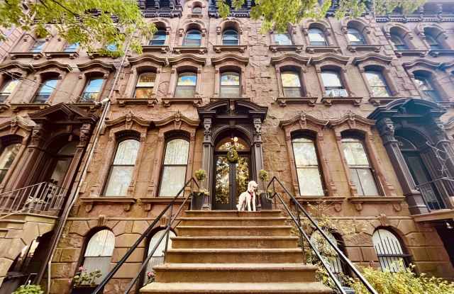 556 Chapel Street unit: Apt 3 photos photos