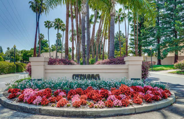 Beautiful and spacious 3 bedroom 2.5 bath Townhouse in Mountain View, CA 94040 photos photos