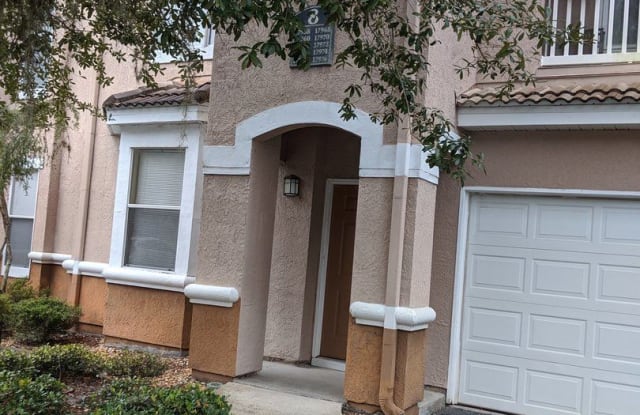 17972 Villa Creek Drive #8 - 17972 Villa Creek Drive, Tampa, FL 33647