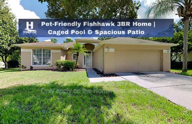 16916 Harrierridge Pl - 16916 Harrierridge Place, Fish Hawk, FL 33547