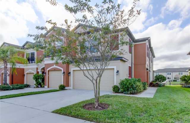 9233 FOX SPARROW ROAD - 9233 Fox Sparrow Road, Westchase, FL 33626