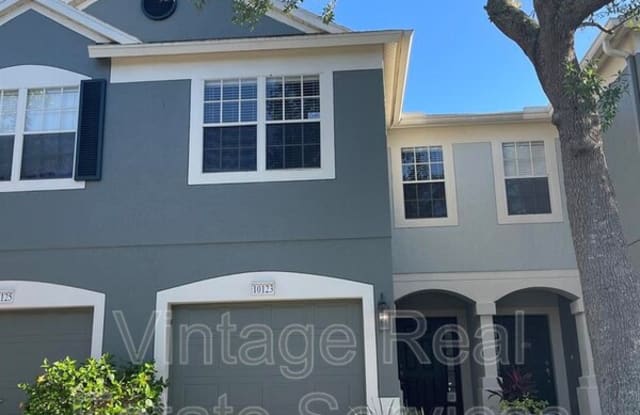 10123 Haverhill Ridge Dr - 10123 Haverhill Ridge Drive, Brandon, FL 33578